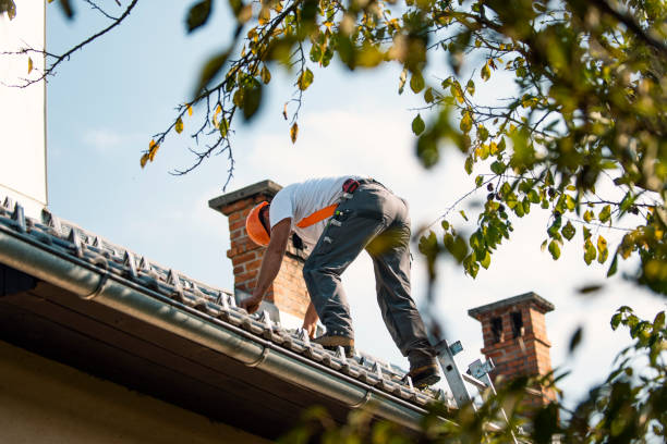 Best Flat Roofing  in Waconia, MN