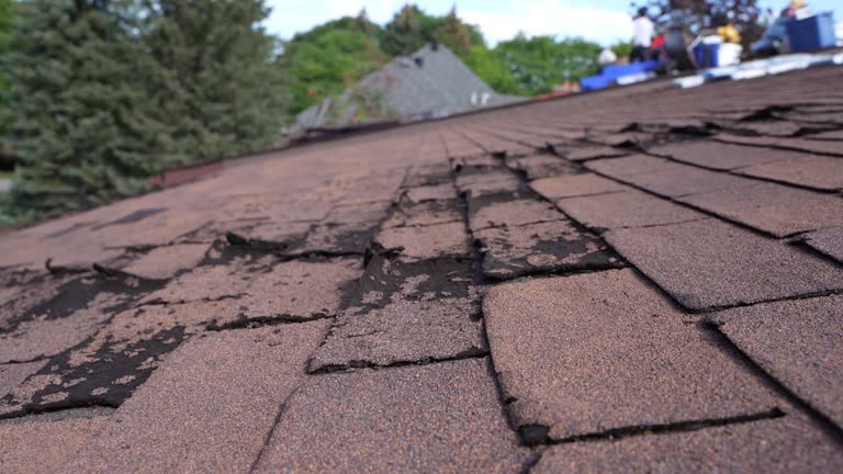 Best Asphalt Shingles Roofing  in Waconia, MN